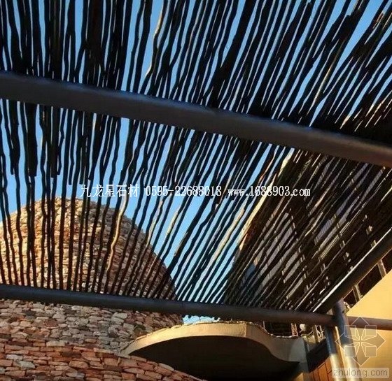 盤(pán)點(diǎn)仿生界的五大景觀奇跡