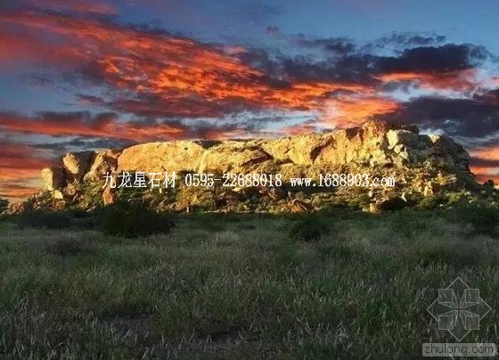 盤(pán)點(diǎn)仿生界的五大景觀奇跡